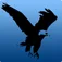 Logo van Wild@Heart