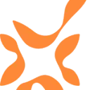 Logo Borgings Combinatie Nederland