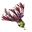 Logo Vaste Planten Kwekerij Heutinck
