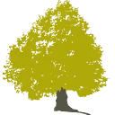 Logo van Fysiopraktijk Veluwse Poort