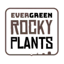 Logo van Evergreen Rocky Plants B.V.