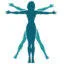 Logo van FysiotherapieNL vestiging Driebergen