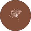 Logo van Lichtpuntjes