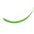 Logo van Balance Consultancy Group