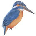 Logo van EcologieWerkt