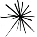 Logo van FlowerDutchess.com
