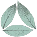 Logo van πΏLaurierkwekerij Gova