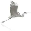 Logo van Ardea-engineering