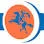 Logo van Repro- van de Kamp