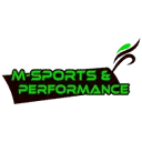 Logo M-Sports AND Performance
