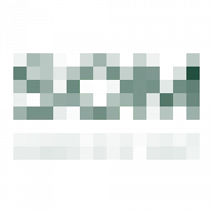 Logo van Brienen AND Schellevis Subsidieadvies