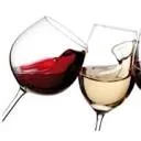 Logo van VinoVersa
