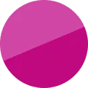 Logo van Splintt online training services