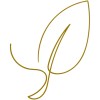 Logo Rooted in Nature
