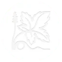 Logo van vinifera holding bv