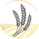 Logo van HaytoYou