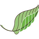 Logo van Bureau Natuurbalans - Limes Divergens