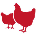 Logo van Ven Poultry B.V.