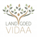 Logo van Vidaa