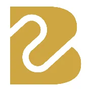 Logo van Blink Financieringen - Alphen aan den Rijn