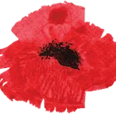 Logo van Flauwers by Anne