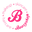 Logo Boozyshop