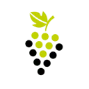 Logo VaKo Vino