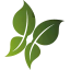 Logo van Natuurbegraafplaats Hoogengraven