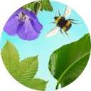 Logo van Sprinklr Planten