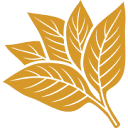 Logo van CdF Trading
