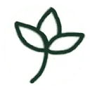 Logo van Study Association Nobis Cura Futuri
