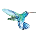 Logo van BETTY VAN WIJNGAARDEN Coaching