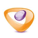 Logo van De Zorgprofessional beroepsorganisatie voor Zelfstandige ZorgProfessionals ZZP'ers