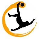 Logo van Sallandse Voetbaldagen