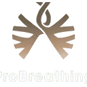 Logo van ProBreathing.nl