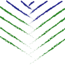 Logo van Stichting De Vertakking Zorg