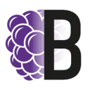 Logo van Braam Psychologie