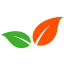 Logo van Dutch Green