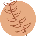 Logo van E-volv Organisatieadvies