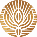 Logo van School of Life; Opleidingsinstituut voor Levenstherapie