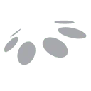 Logo van century