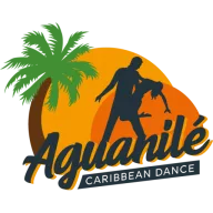 Logo van Salsa Dansschool Aguanilé