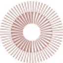 Logo van RAAK
