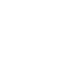 Logo van pragmatist
