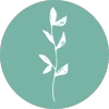 Logo van Eva Nijman ◦ Writative