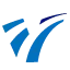 Logo Visio ITS services