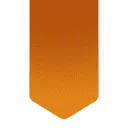 Logo van Practical Privacy