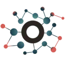 Logo FRIS Risk Management