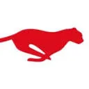 Logo van Solvares Field Service Benelux