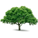 Logo van Damink tuin en landschap